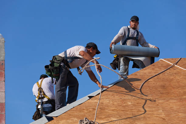 Best Commercial Roofing Services  in Rockford, MN