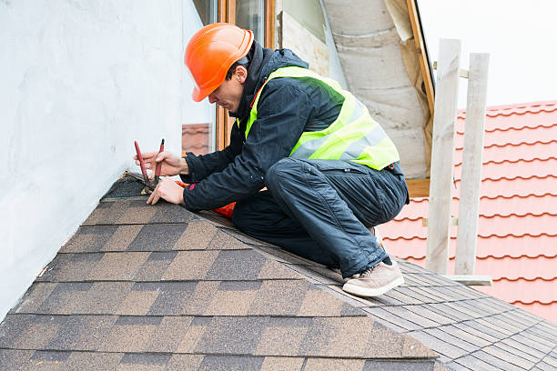 Best Roof Gutter Cleaning  in Rockford, MN