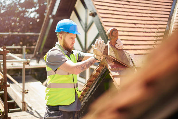 Best Metal Roofing Contractor  in Rockford, MN