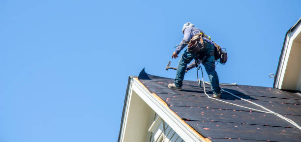 Best Commercial Roof Installation  in Rockford, MN